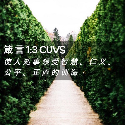 Picture 02 - 箴 言 1:3 CUVS - 使 人 处 事 领 受 智 慧 、 仁 义 、 - Bible Verse Picture
