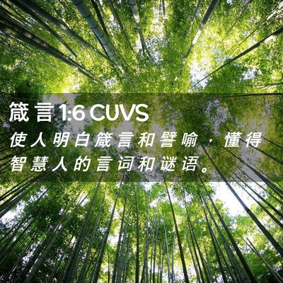 Picture 02 - 箴 言 1:6 CUVS - 使 人 明 白 箴 言 和 譬 喻 ， 懂 得 - Bible Verse Picture