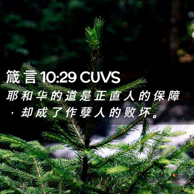 Picture 02 - 箴 言 10:29 CUVS - 耶 和 华 的 道 是 正 直 人 的 保 障 - Bible Verse Picture