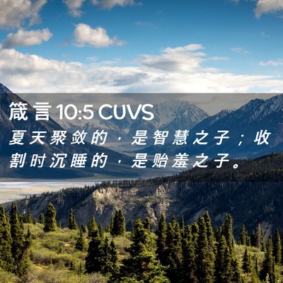 Picture 02 - 箴 言 10:5 CUVS - 夏 天 聚 敛 的 ， 是 智 慧 之 子 ； - Bible Verse Picture