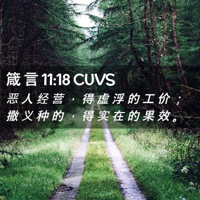 Picture 02 - 箴 言 11:18 CUVS - 恶 人 经 营 ， 得 虚 浮 的 工 价 ； - Bible Verse Picture