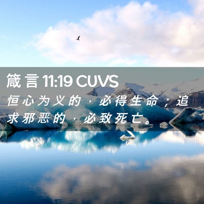 Picture 02 - 箴 言 11:19 CUVS - 恒 心 为 义 的 ， 必 得 生 命 ； 追 - Bible Verse Picture