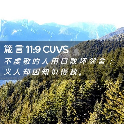 Picture 02 - 箴 言 11:9 CUVS - 不 虔 敬 的 人 用 口 败 坏 邻 舍 ； - Bible Verse Picture