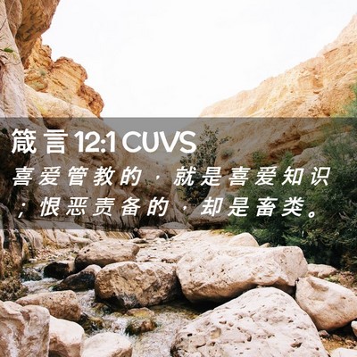 Picture 02 - 箴 言 12:1 CUVS - 喜 爱 管 教 的 ， 就 是 喜 爱 知 识 - Bible Verse Picture
