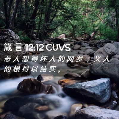 Picture 02 - 箴 言 12:12 CUVS - 恶 人 想 得 坏 人 的 网 罗 ； 义 人 - Bible Verse Picture