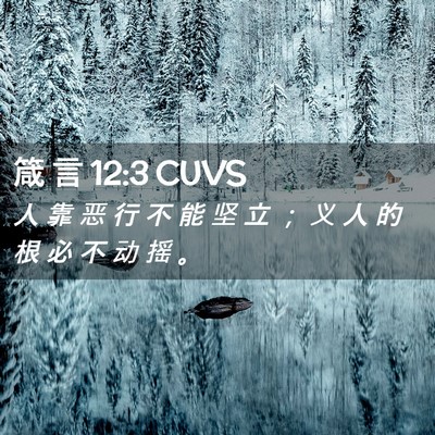 Picture 02 - 箴 言 12:3 CUVS - 人 靠 恶 行 不 能 坚 立 ； 义 人 的 - Bible Verse Picture