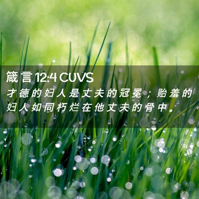 Picture 02 - 箴 言 12:4 CUVS - 才 德 的 妇 人 是 丈 夫 的 冠 冕 ； - Bible Verse Picture