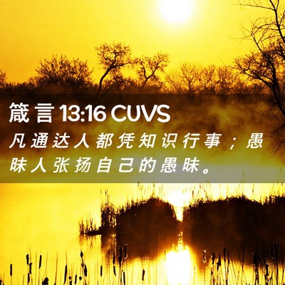 Picture 02 - 箴 言 13:16 CUVS - 凡 通 达 人 都 凭 知 识 行 事 ； 愚 - Bible Verse Picture