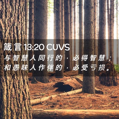 Picture 02 - 箴 言 13:20 CUVS - 与 智 慧 人 同 行 的 ， 必 得 智 慧 - Bible Verse Picture