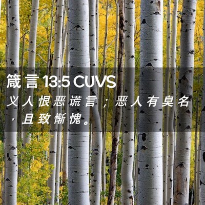 Picture 02 - 箴 言 13:5 CUVS - 义 人 恨 恶 谎 言 ； 恶 人 有 臭 名 - Bible Verse Picture