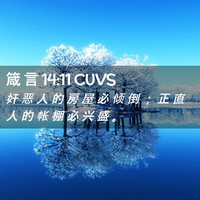 Picture 02 - 箴 言 14:11 CUVS - 奸 恶 人 的 房 屋 必 倾 倒 ； 正 直 - Bible Verse Picture