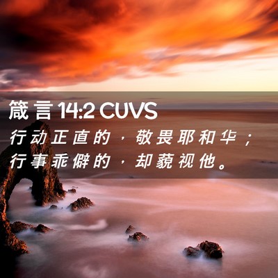 Picture 02 - 箴 言 14:2 CUVS - 行 动 正 直 的 ， 敬 畏 耶 和 华 ； - Bible Verse Picture