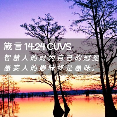 Picture 02 - 箴 言 14:24 CUVS - 智 慧 人 的 财 为 自 己 的 冠 冕 ； - Bible Verse Picture