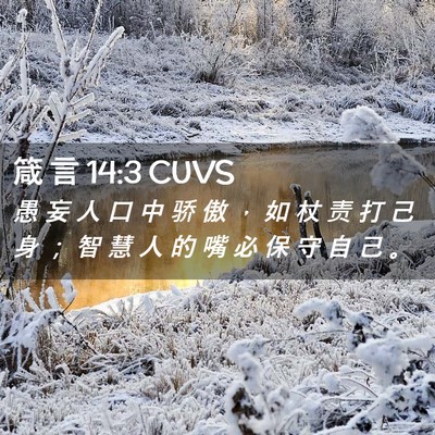 Picture 02 - 箴 言 14:3 CUVS - 愚 妄 人 口 中 骄 傲 ， 如 杖 责 打 - Bible Verse Picture