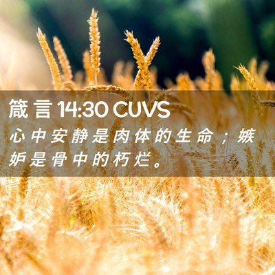 Picture 02 - 箴 言 14:30 CUVS - 心 中 安 静 是 肉 体 的 生 命 ； 嫉 - Bible Verse Picture