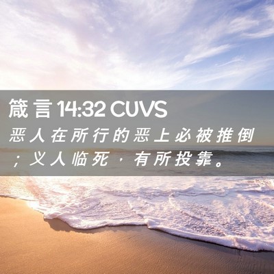 Picture 02 - 箴 言 14:32 CUVS - 恶 人 在 所 行 的 恶 上 必 被 推 倒 - Bible Verse Picture