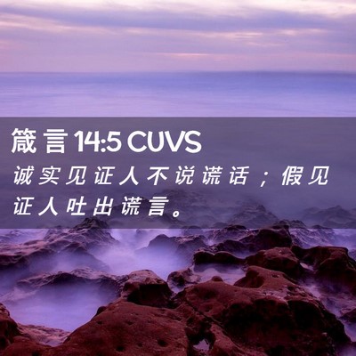 Picture 02 - 箴 言 14:5 CUVS - 诚 实 见 证 人 不 说 谎 话 ； 假 见 - Bible Verse Picture