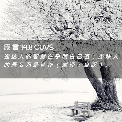 Picture 02 - 箴 言 14:8 CUVS - 通 达 人 的 智 慧 在 乎 明 白 己 道 - Bible Verse Picture