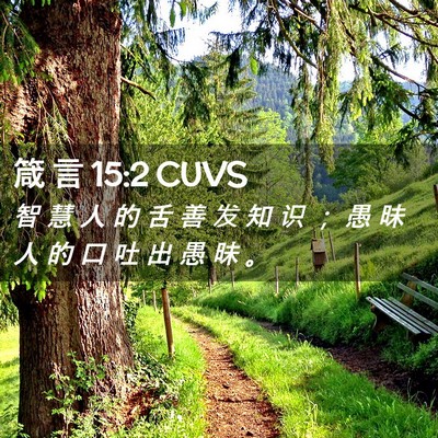 Picture 02 - 箴 言 15:2 CUVS - 智 慧 人 的 舌 善 发 知 识 ； 愚 昧 - Bible Verse Picture