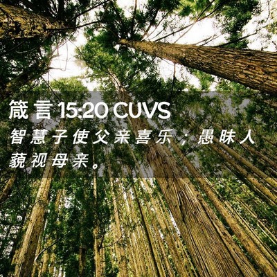 Picture 02 - 箴 言 15:20 CUVS - 智 慧 子 使 父 亲 喜 乐 ； 愚 昧 人 - Bible Verse Picture