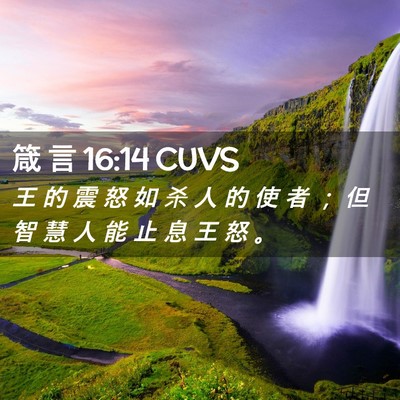 Picture 02 - 箴 言 16:14 CUVS - 王 的 震 怒 如 杀 人 的 使 者 ； 但 - Bible Verse Picture
