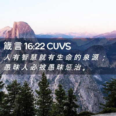 Picture 02 - 箴 言 16:22 CUVS - 人 有 智 慧 就 有 生 命 的 泉 源 ； - Bible Verse Picture