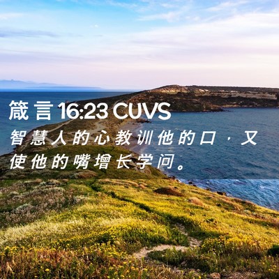 Picture 02 - 箴 言 16:23 CUVS - 智 慧 人 的 心 教 训 他 的 口 ， 又 - Bible Verse Picture