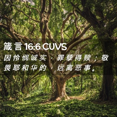 Picture 02 - 箴 言 16:6 CUVS - 因 怜 悯 诚 实 ， 罪 孽 得 赎 ； 敬 - Bible Verse Picture