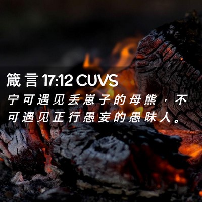 Picture 02 - 箴 言 17:12 CUVS - 宁 可 遇 见 丢 崽 子 的 母 熊 ， 不 - Bible Verse Picture