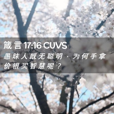 Picture 02 - 箴 言 17:16 CUVS - 愚 昧 人 既 无 聪 明 ， 为 何 手 拿 - Bible Verse Picture