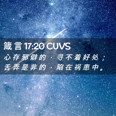 Picture 02 - 箴 言 17:20 CUVS - 心 存 邪 僻 的 ， 寻 不 着 好 处 ； - Bible Verse Picture