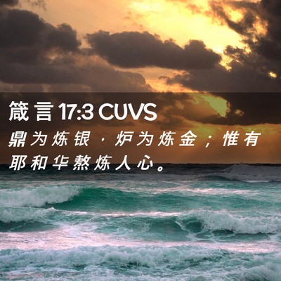 Picture 02 - 箴 言 17:3 CUVS - 鼎 为 炼 银 ， 炉 为 炼 金 ； 惟 有 - Bible Verse Picture