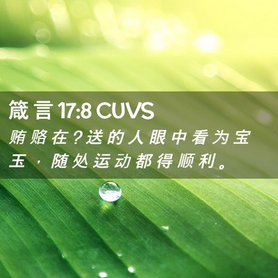 Picture 02 - 箴 言 17:8 CUVS - 贿 赂 在 ? 送 的 人 眼 中 看 为 宝 玉 - Bible Verse Picture