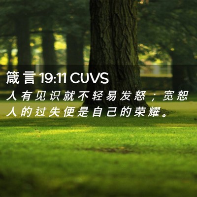 Picture 02 - 箴 言 19:11 CUVS - 人 有 见 识 就 不 轻 易 发 怒 ； 宽 - Bible Verse Picture