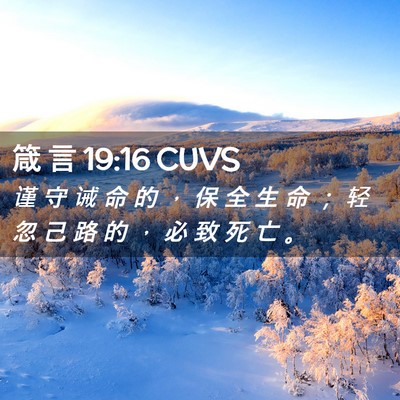 Picture 02 - 箴 言 19:16 CUVS - 谨 守 诫 命 的 ， 保 全 生 命 ； 轻 - Bible Verse Picture