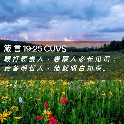 Picture 02 - 箴 言 19:25 CUVS - 鞭 打 亵 慢 人 ， 愚 蒙 人 必 长 见 - Bible Verse Picture