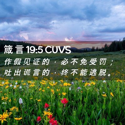 Picture 02 - 箴 言 19:5 CUVS - 作 假 见 证 的 ， 必 不 免 受 罚 ； - Bible Verse Picture