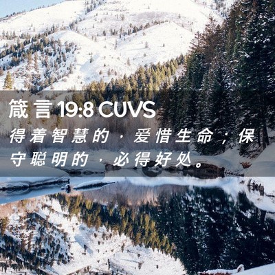 Picture 02 - 箴 言 19:8 CUVS - 得 着 智 慧 的 ， 爱 惜 生 命 ； 保 - Bible Verse Picture