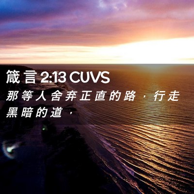 Picture 02 - 箴 言 2:13 CUVS - 那 等 人 舍 弃 正 直 的 路 ， 行 走 - Bible Verse Picture