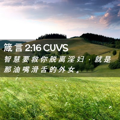 Picture 02 - 箴 言 2:16 CUVS - 智 慧 要 救 你 脱 离 淫 妇 ， 就 是 - Bible Verse Picture
