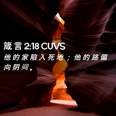 Picture 02 - 箴 言 2:18 CUVS - 他 的 家 陷 入 死 地 ； 他 的 路 偏 - Bible Verse Picture