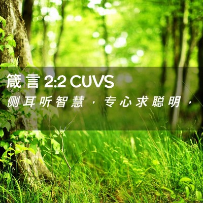 Picture 02 - 箴 言 2:2 CUVS - 侧 耳 听 智 慧 ， 专 心 求 聪 明 - Bible Verse Picture