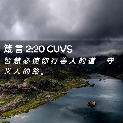 Picture 02 - 箴 言 2:20 CUVS - 智 慧 必 使 你 行 善 人 的 道 ， 守 - Bible Verse Picture
