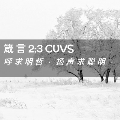 Picture 02 - 箴 言 2:3 CUVS - 呼 求 明 哲 ， 扬 声 求 聪 明 - Bible Verse Picture