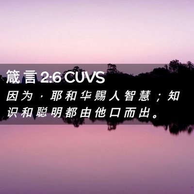 Picture 02 - 箴 言 2:6 CUVS - 因 为 ， 耶 和 华 赐 人 智 慧 ； 知 - Bible Verse Picture