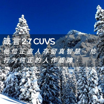 Picture 02 - 箴 言 2:7 CUVS - 他 给 正 直 人 存 留 真 智 慧 ， 给 - Bible Verse Picture