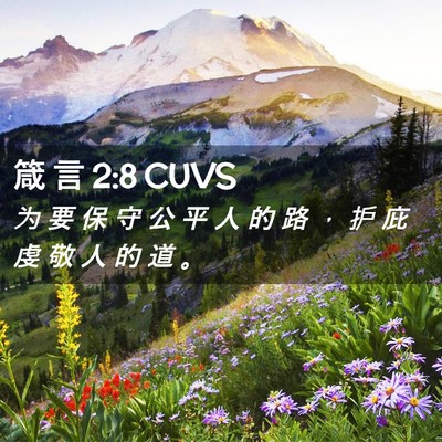 Picture 02 - 箴 言 2:8 CUVS - 为 要 保 守 公 平 人 的 路 ， 护 庇 - Bible Verse Picture