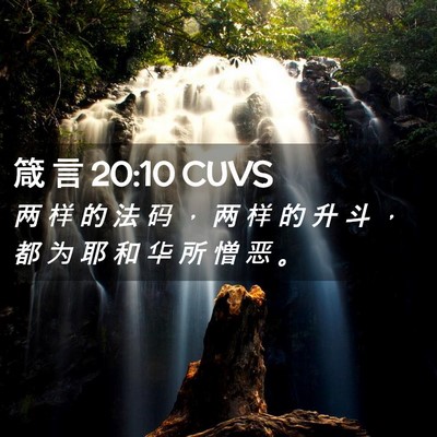 Picture 02 - 箴 言 20:10 CUVS - 两 样 的 法 码 ， 两 样 的 升 斗 ， - Bible Verse Picture