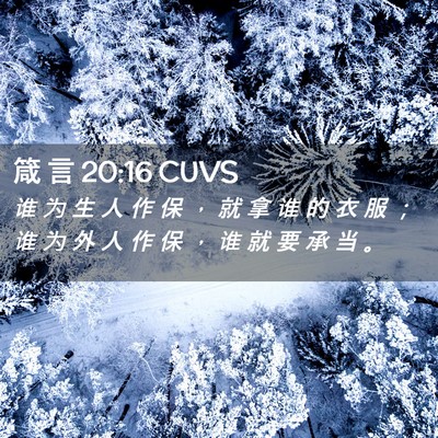 Picture 02 - 箴 言 20:16 CUVS - 谁 为 生 人 作 保 ， 就 拿 谁 的 衣 - Bible Verse Picture