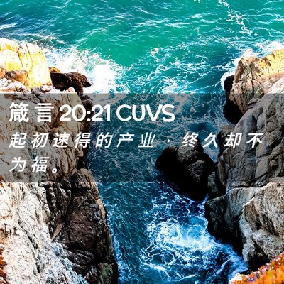Picture 02 - 箴 言 20:21 CUVS - 起 初 速 得 的 产 业 ， 终 久 却 不 - Bible Verse Picture
